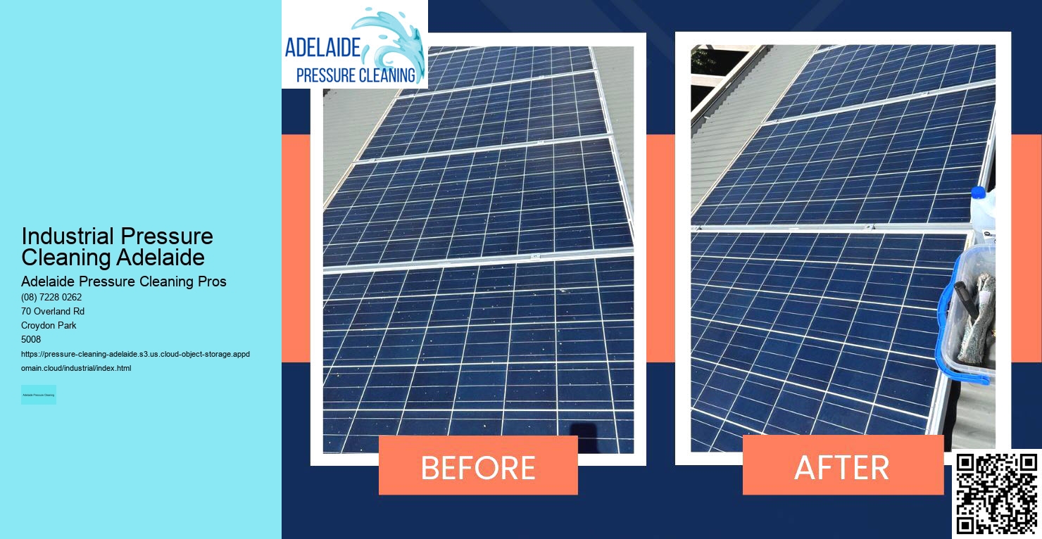 Solar Panel Cleaning for Maximum Efficiency