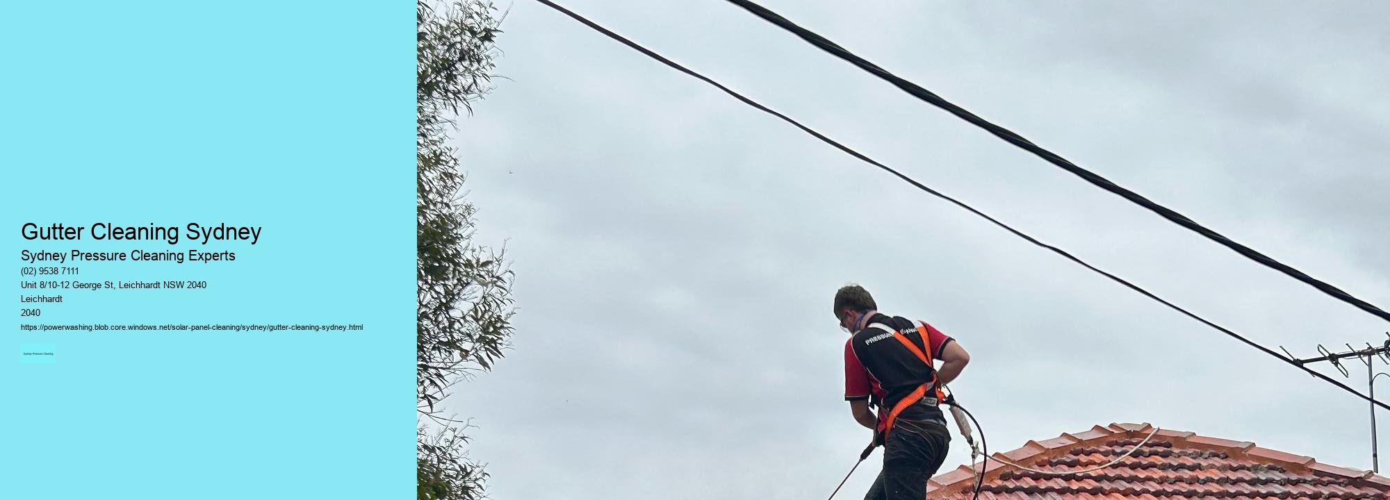 Gutter Cleaning Sydney