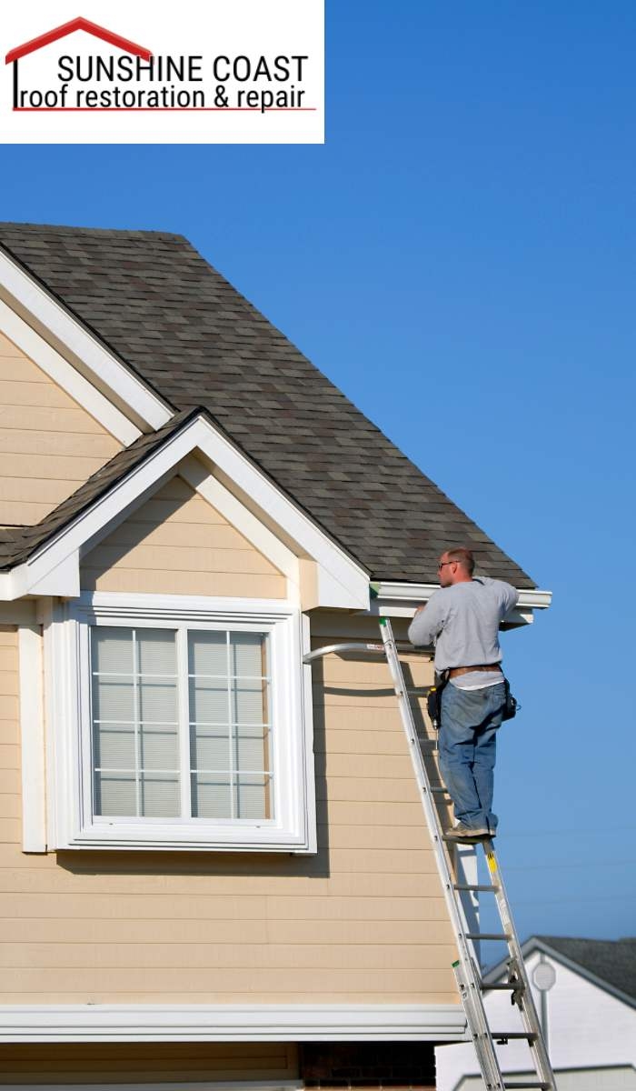 Roof Painting: Beyond Aesthetic Enhancements