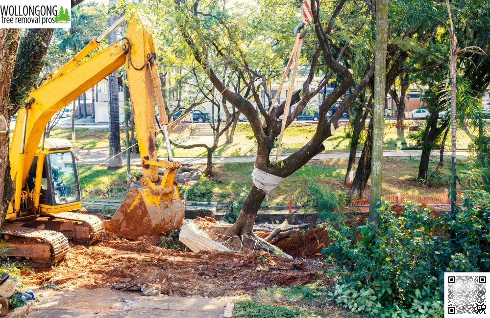 Why Choose Wollongong Tree Removal Pros?